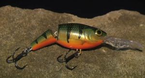 Pic: Mick Fletoridis